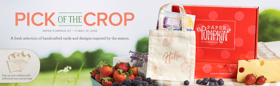 Stampin Up Paper Pumpkin Box with stamped bag and berries and title Pick of the Crop