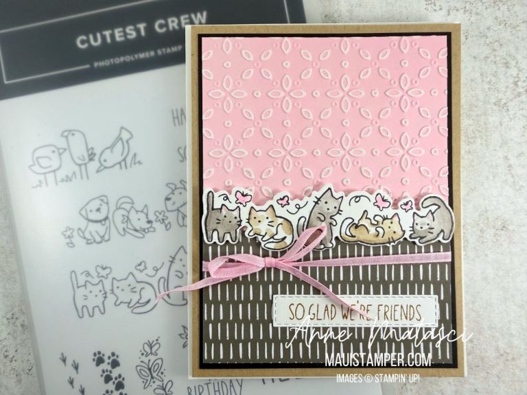 CUTEST CREW KITTENS AND TWO TONE CARD STOCK | The Maui Stamper
