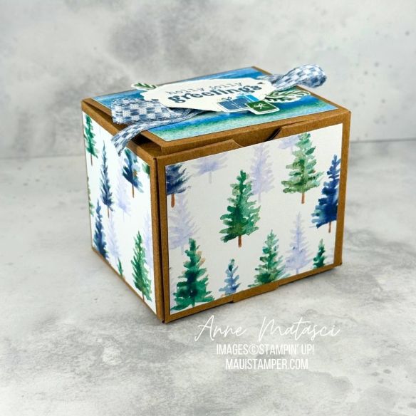 A small Kraft box covered with blue and green holiday designs and the sentiment "Holly Jolly Greetings"
